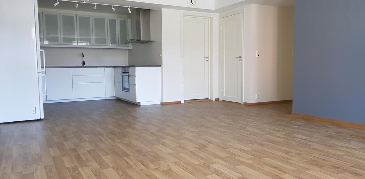 Stue/kjøkken 35m2