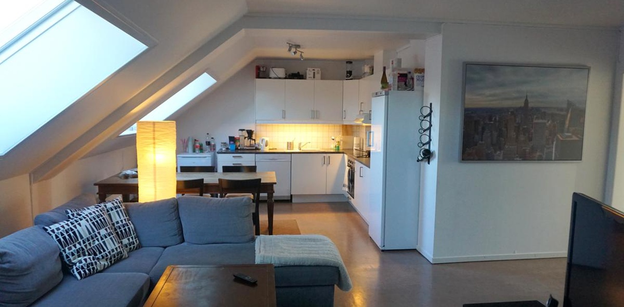 Stue/kjøkken