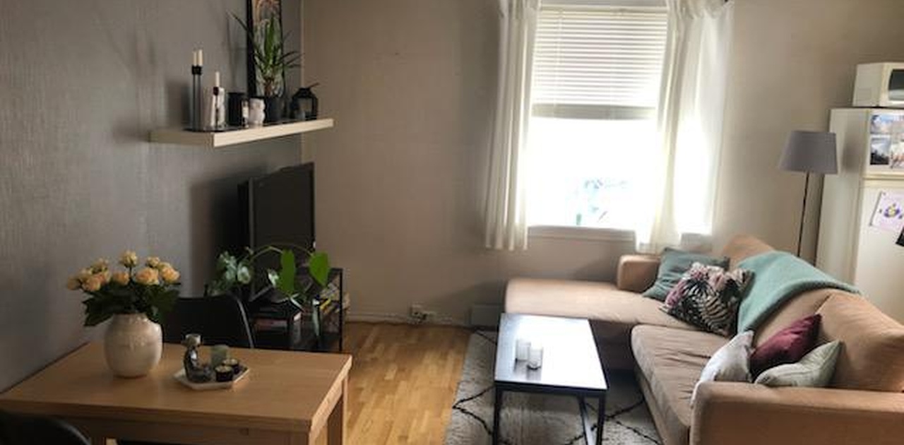 Stue/kjøkken møblert