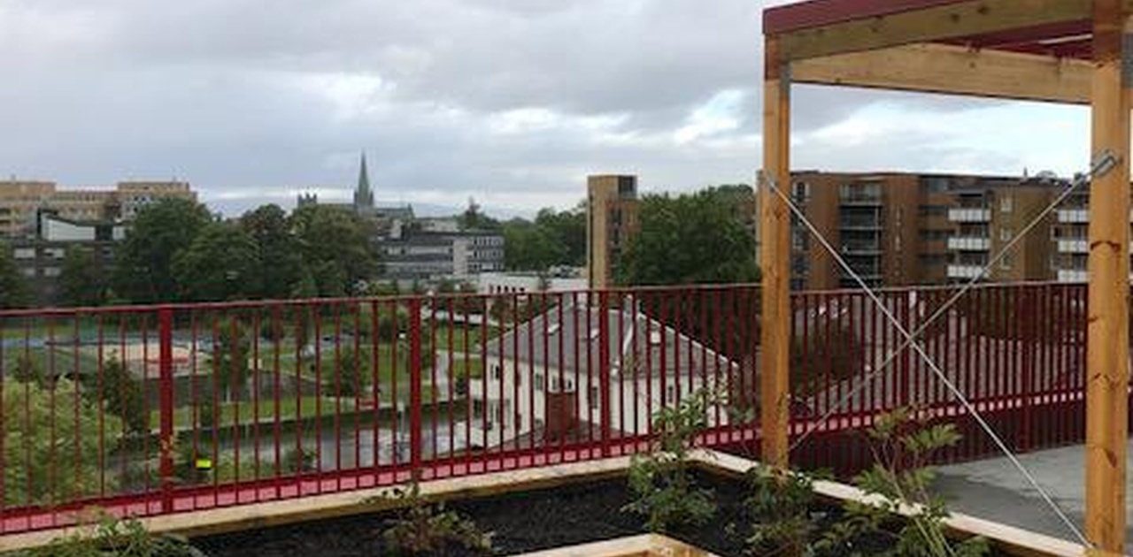 Takterasse med fantastisk utsikt.