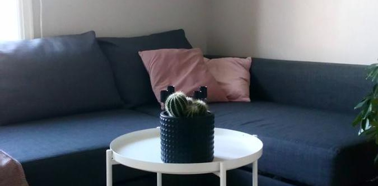 Sofaen tilhører forrige leietaker. Nå er det en 120 bred seng her.