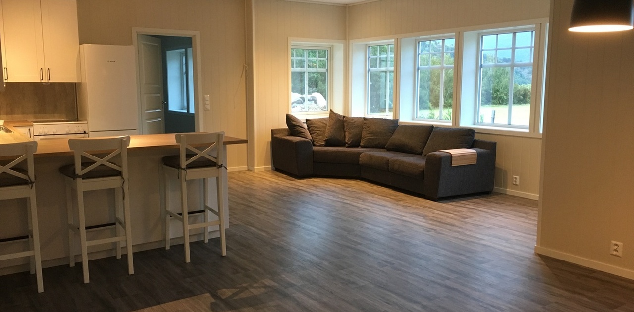 Kjøkken og stove i open løysing
