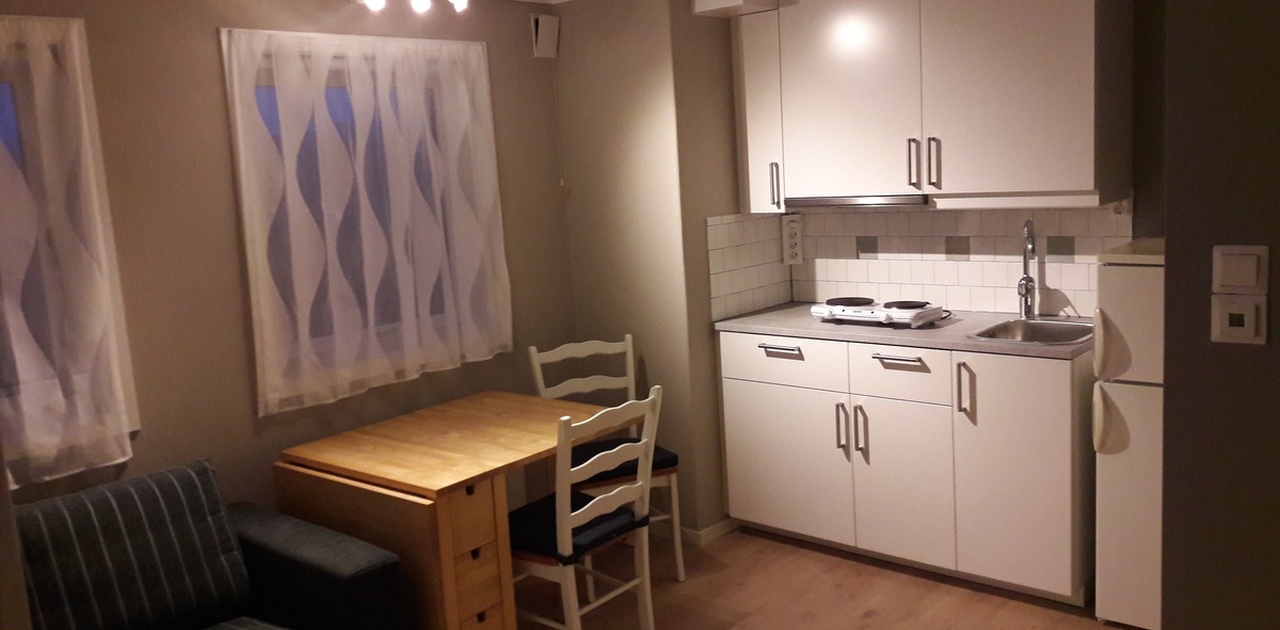 Kjøkkenbord/kjøkken m/kokeplate
