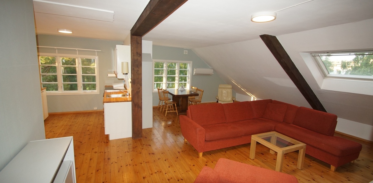 Sofagruppe, spisebord og kjøkken