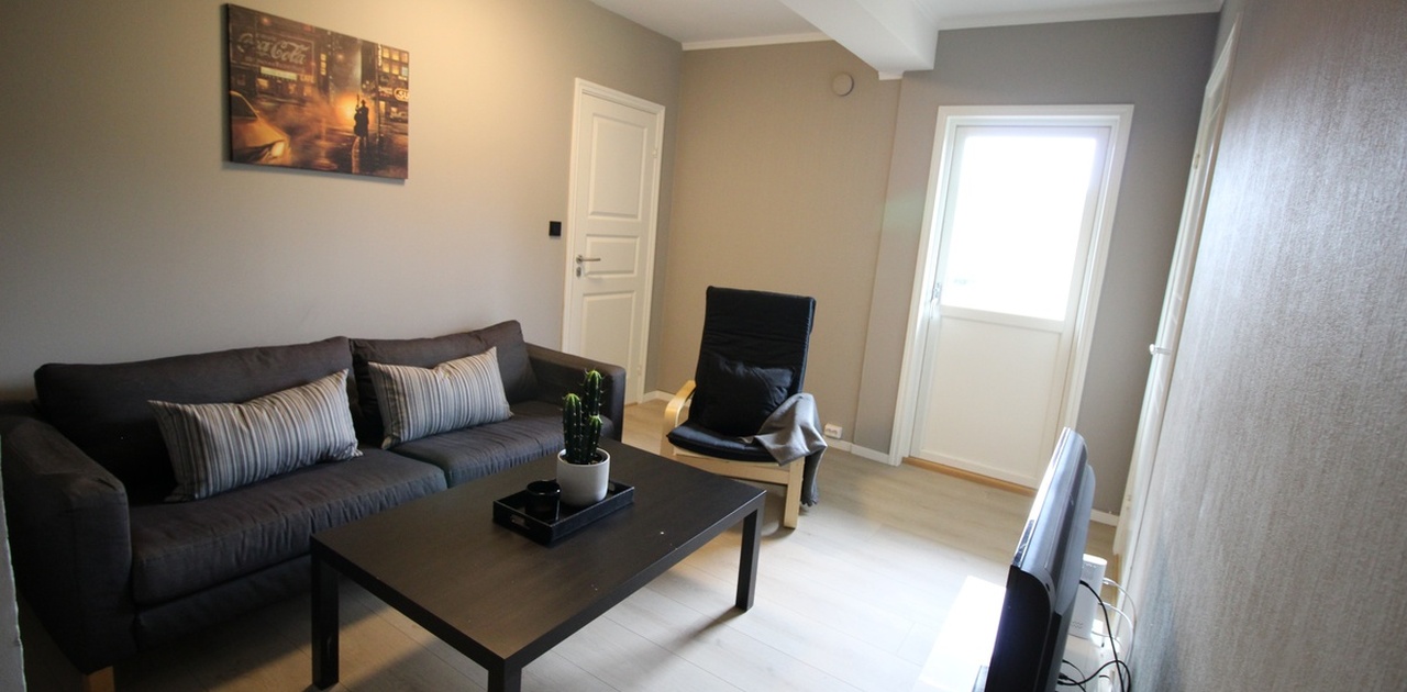 Stue med sofa, bord og stol - utgang til solrik terrasse