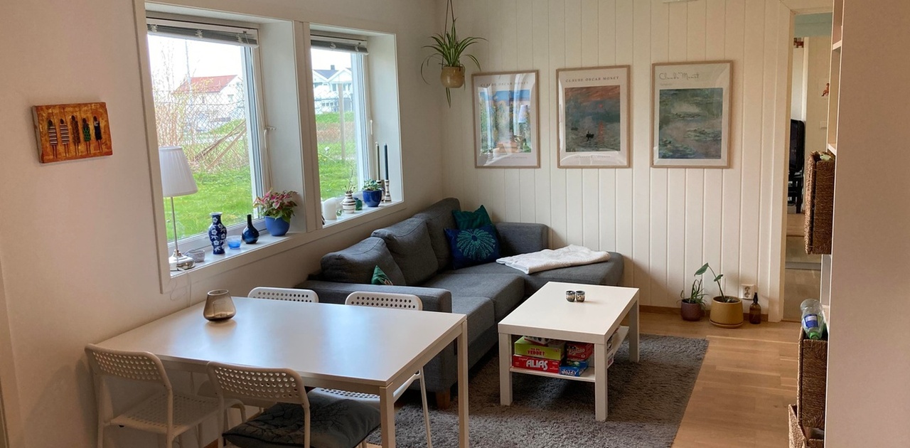 Stue og spiseplass