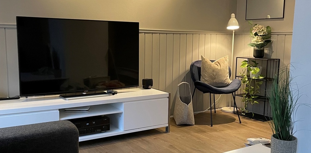Tv stue