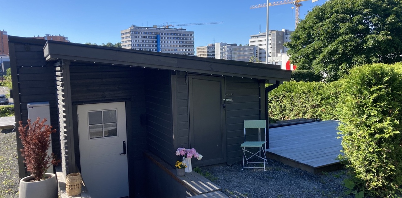 Inngangspartiet