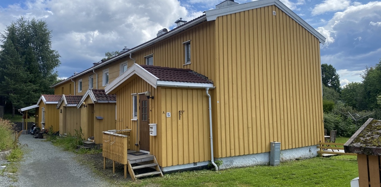 Inngangsparti