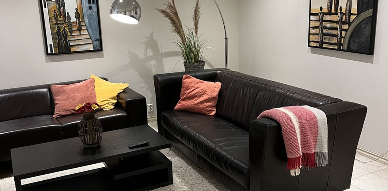 Stuen har to store skinnsofaer.