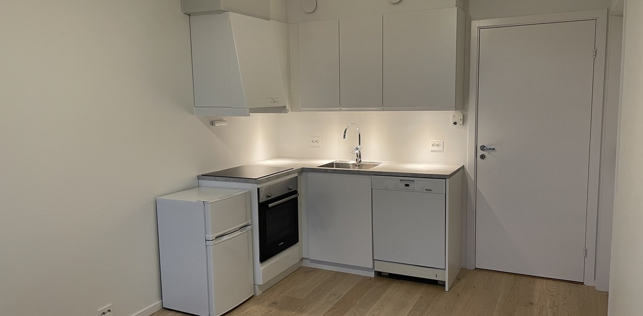 Oppholdsrom/Kjøkken