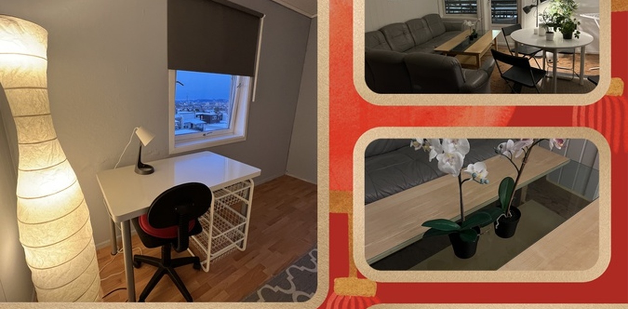 Bilder av rom og leilighet, samt utsikt fra rommet