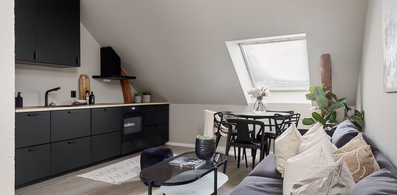 Nyoppusset stue/kjøkken med integrerte hvitevarer