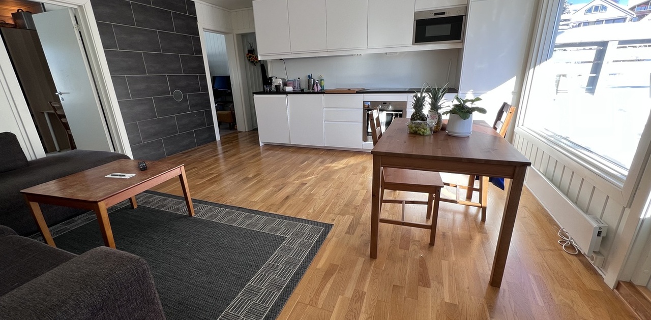 Kjøkken med integrerte hvitevarer