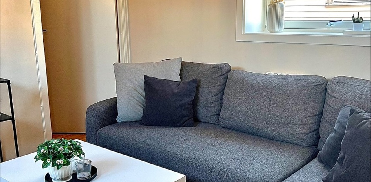 Romslig stue perfekt for 2, med god belysning