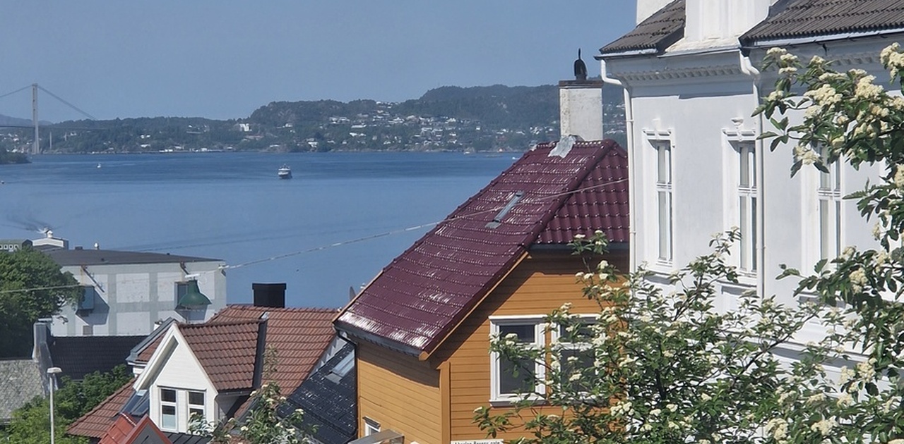 Utsikt fra stue