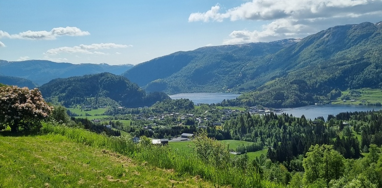 Utsikt frå hagen.