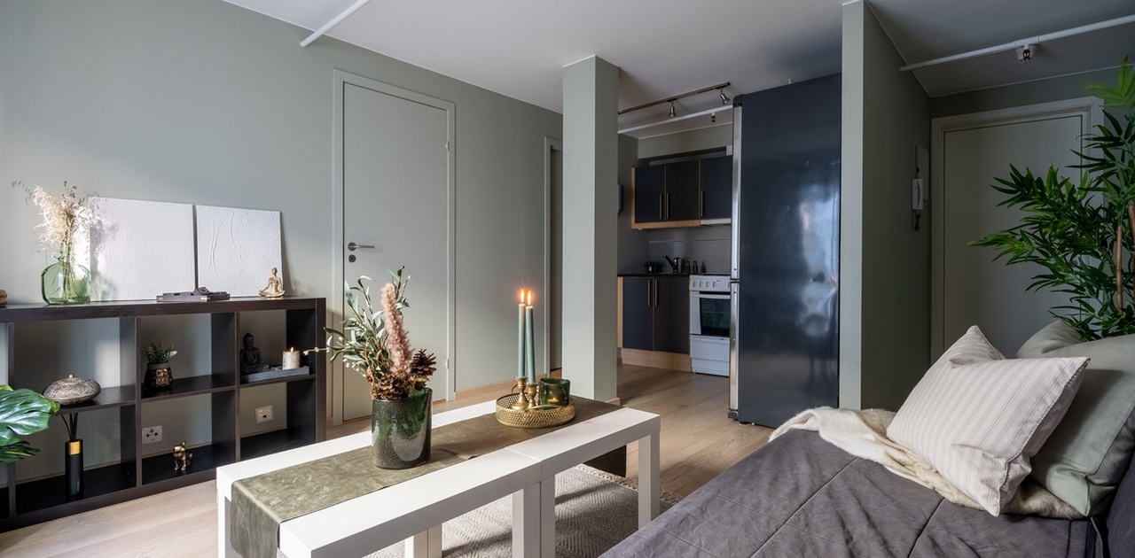 Stue og kjøkken i nymalt dus grønn