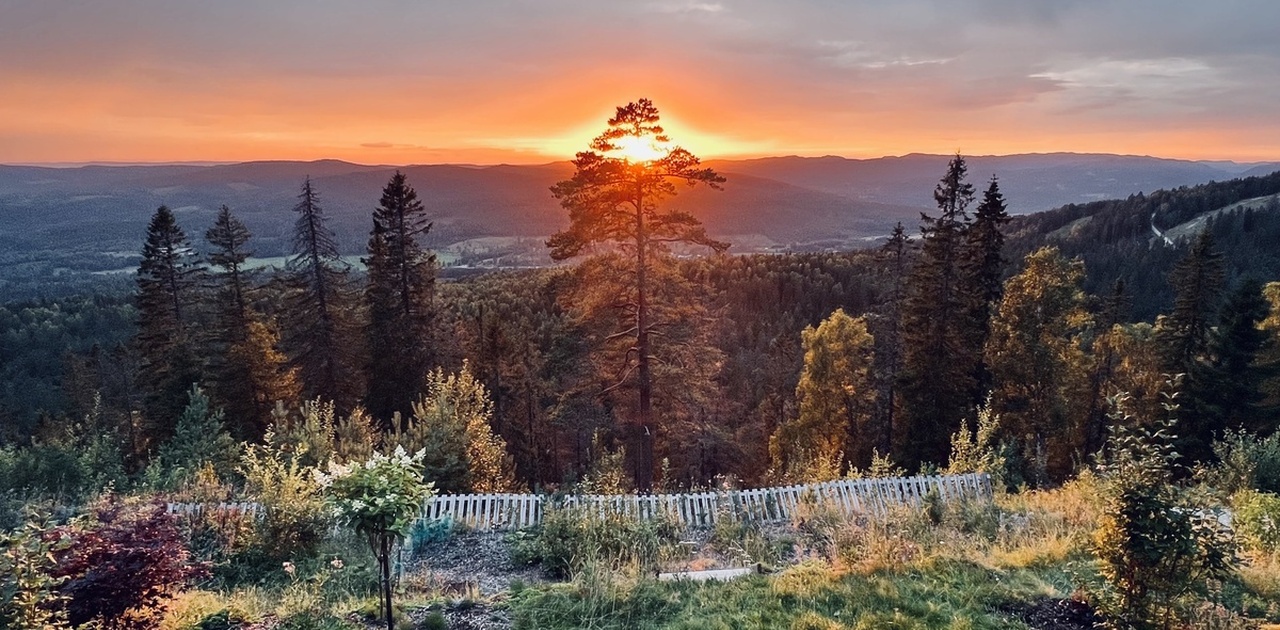 Autumn view from the garden