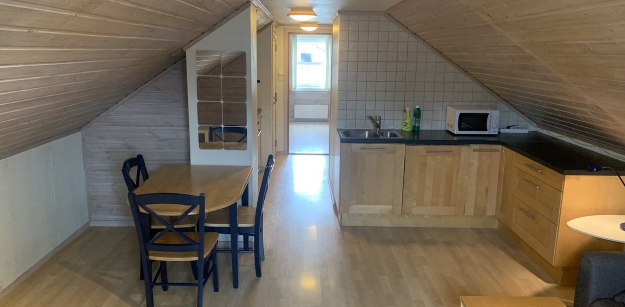 Stue/kjøkken