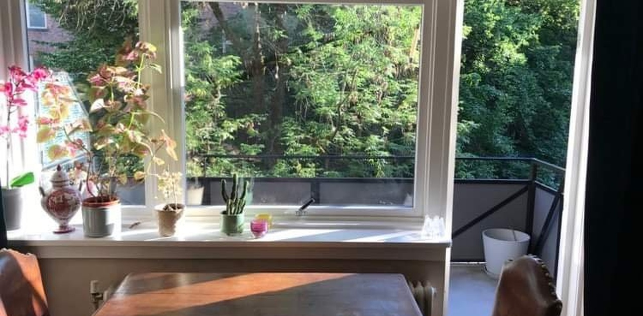 Stue mot stille grønn oase med minimalt innsyn