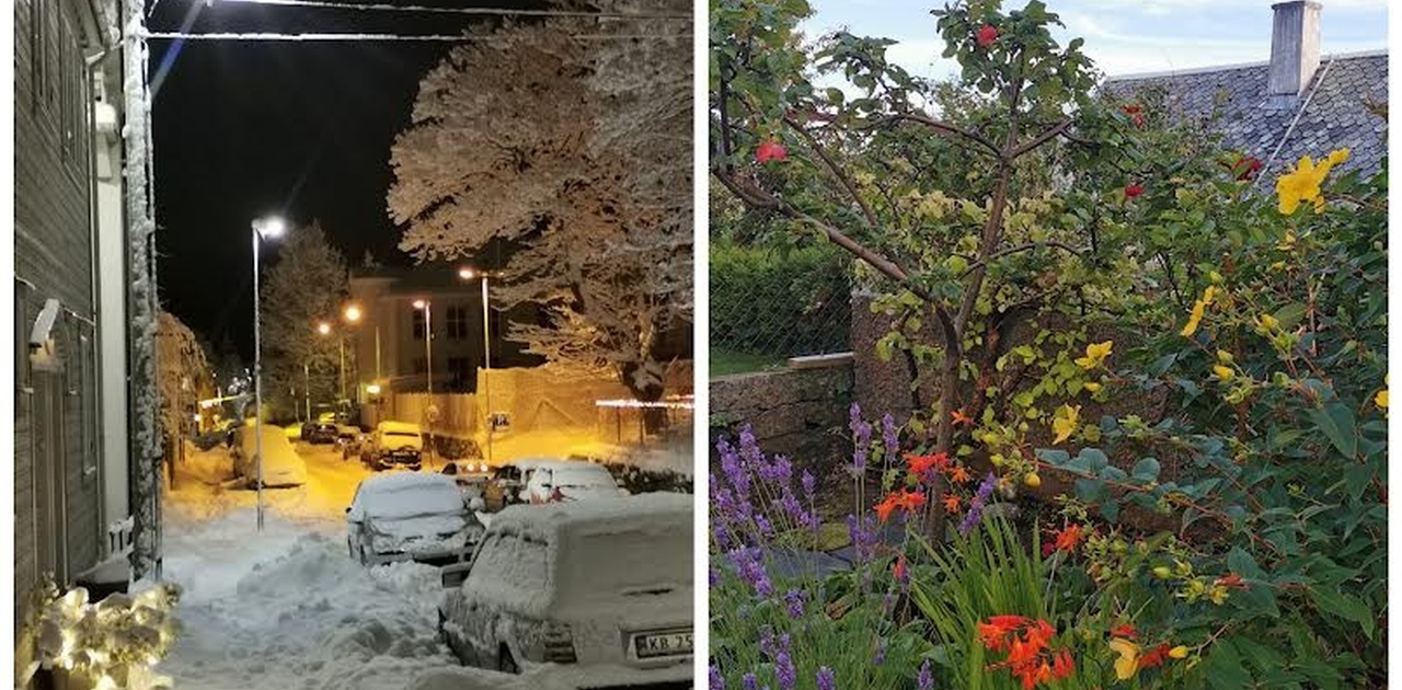 vinter i gata og høsthage