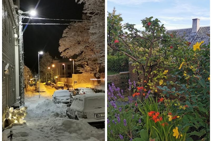 3 rom i bofellesskap