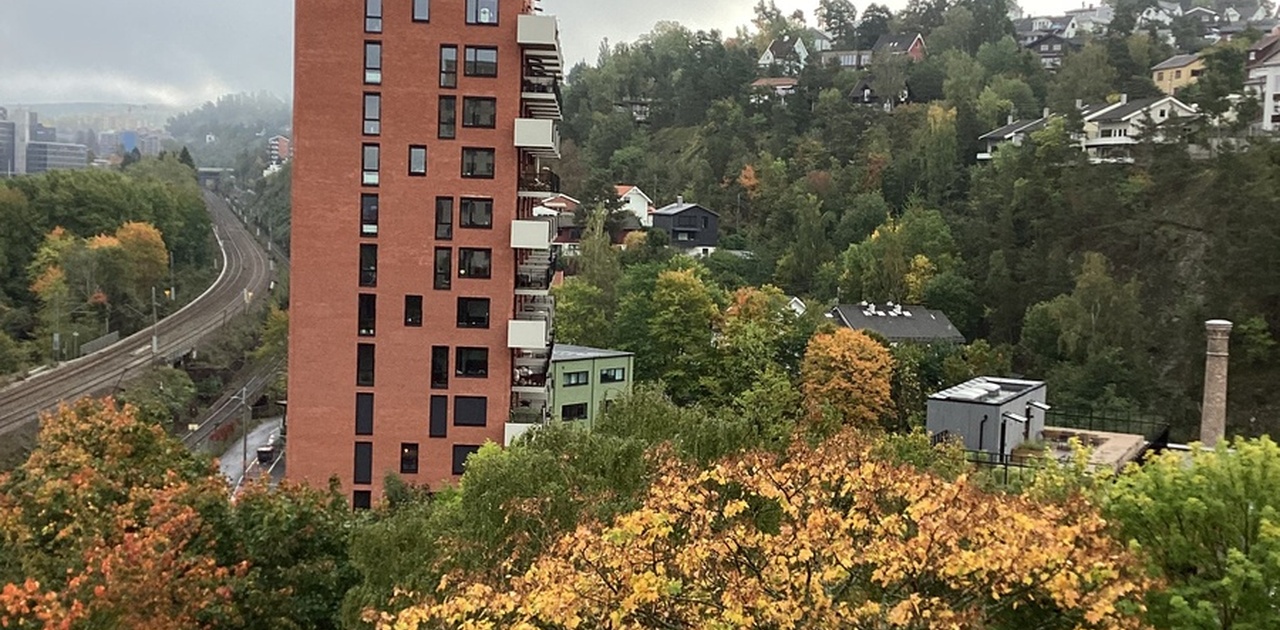 Utsikt fra rommet