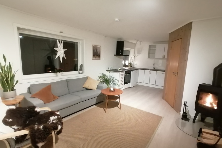 Leilighet, 2 roms