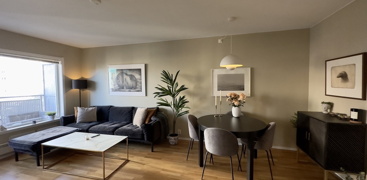 God plass til sofa og spisegruppe