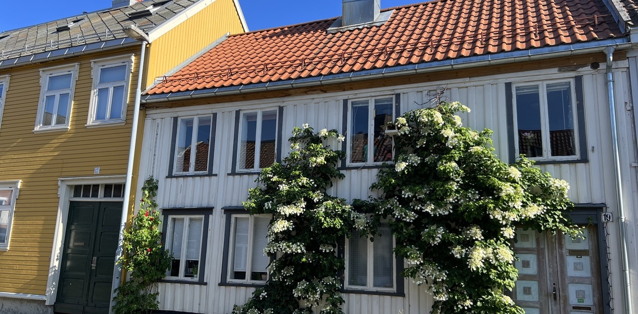 sommer