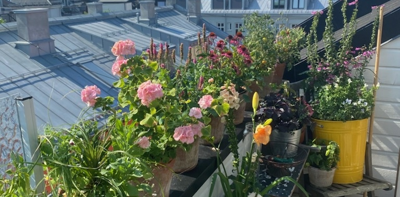 Leiligheten har solrik takterrasse