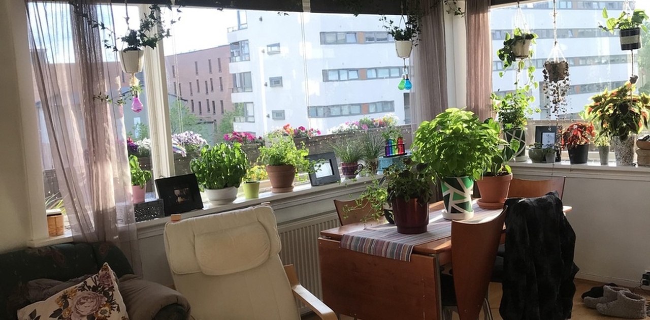 God plass i stue, for sofa og spisebord