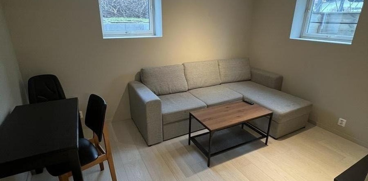 Lys og moderne stue med sovesofa
