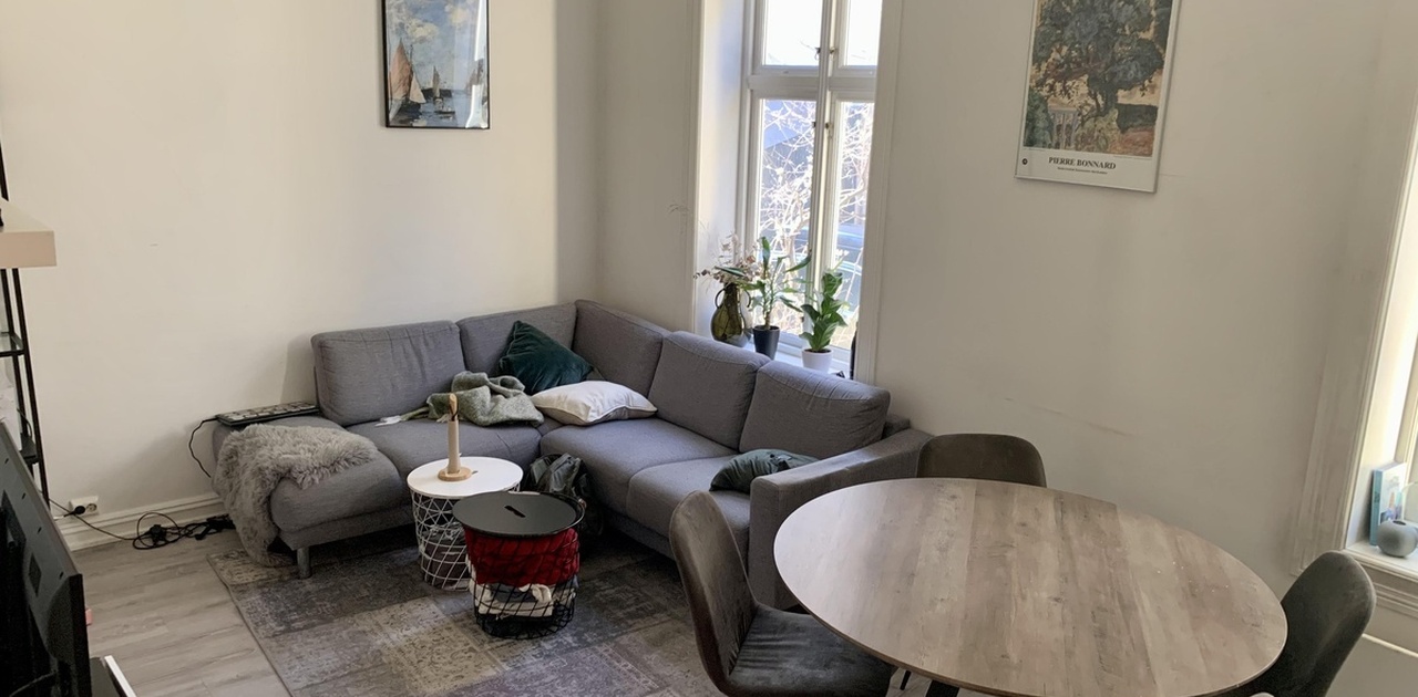 Stue med vindu ut til bakgården