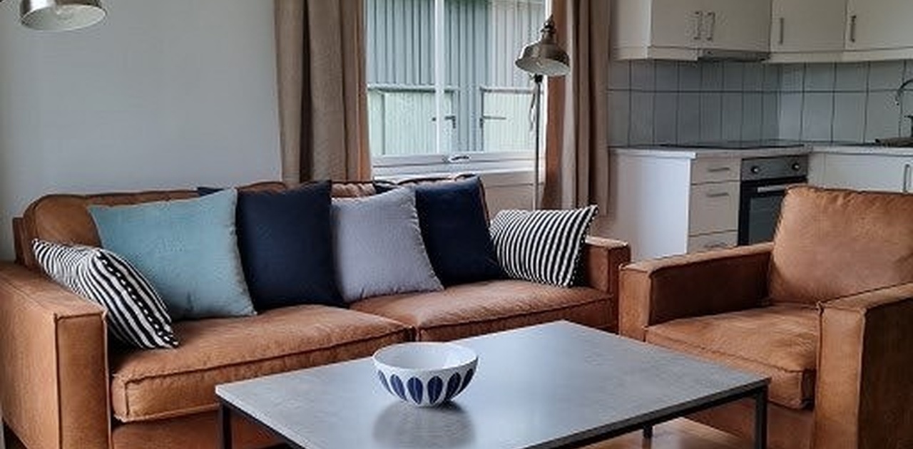 Moderne, komfortable møbler i stue