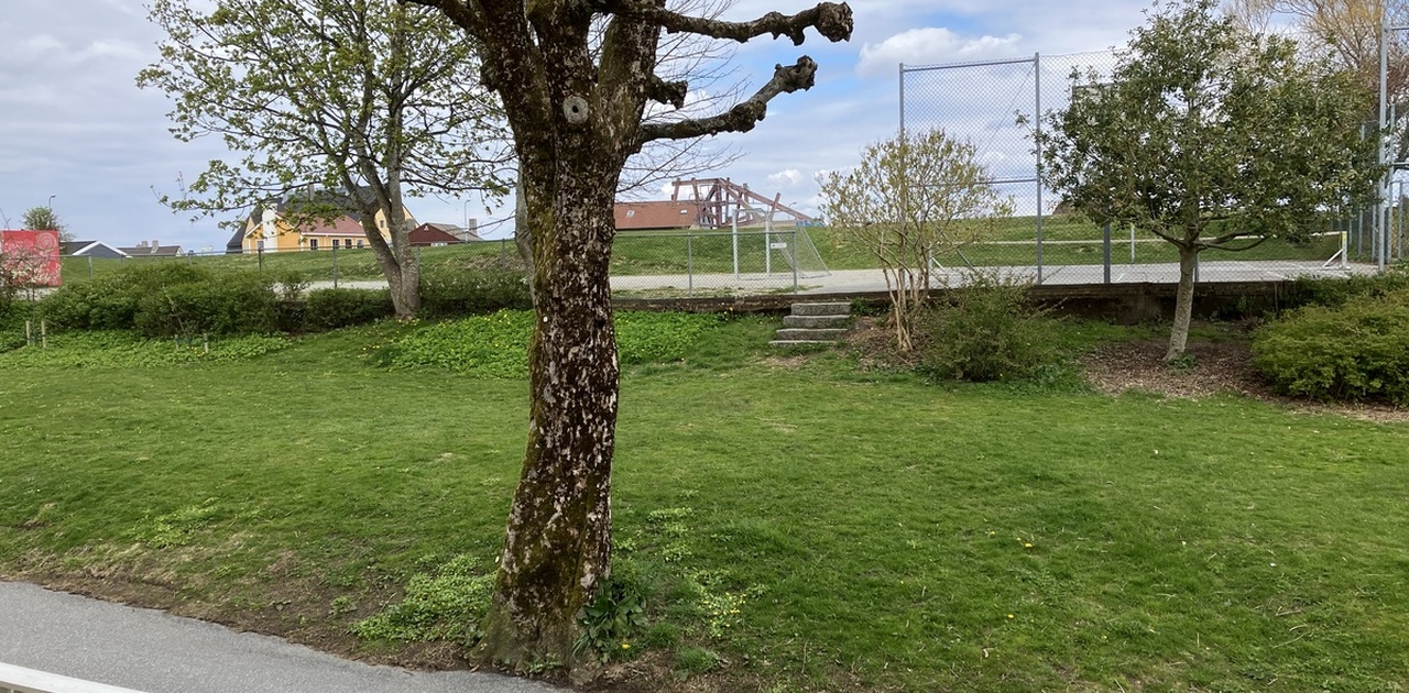 Utsikt fra huset
