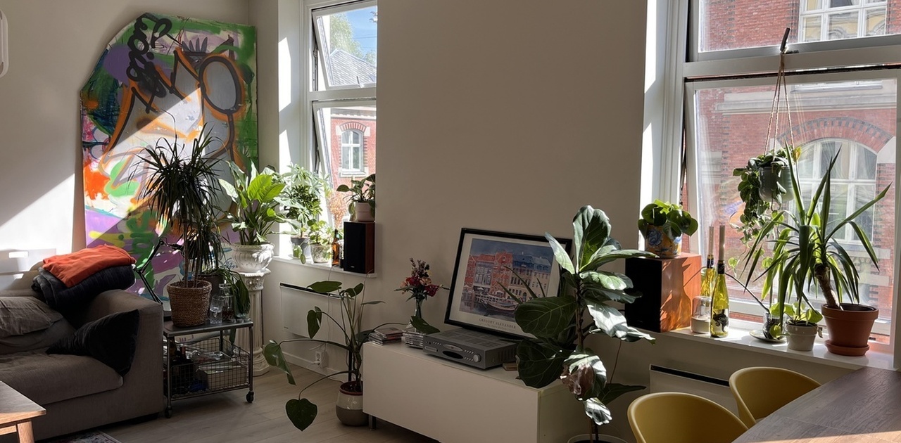 Et hyggelig fellesareal med projektor