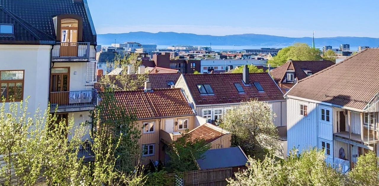 Utsikt fra stua