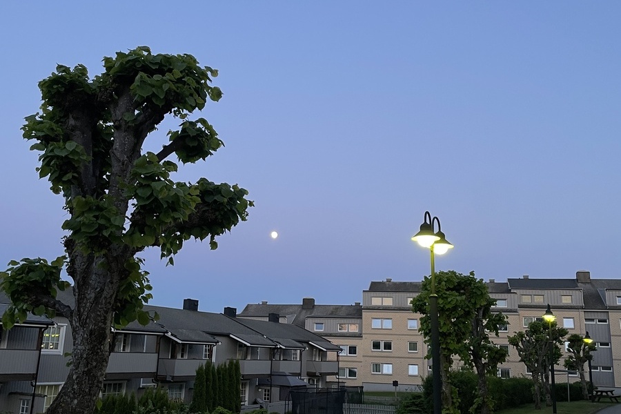Leilighet, 2 roms