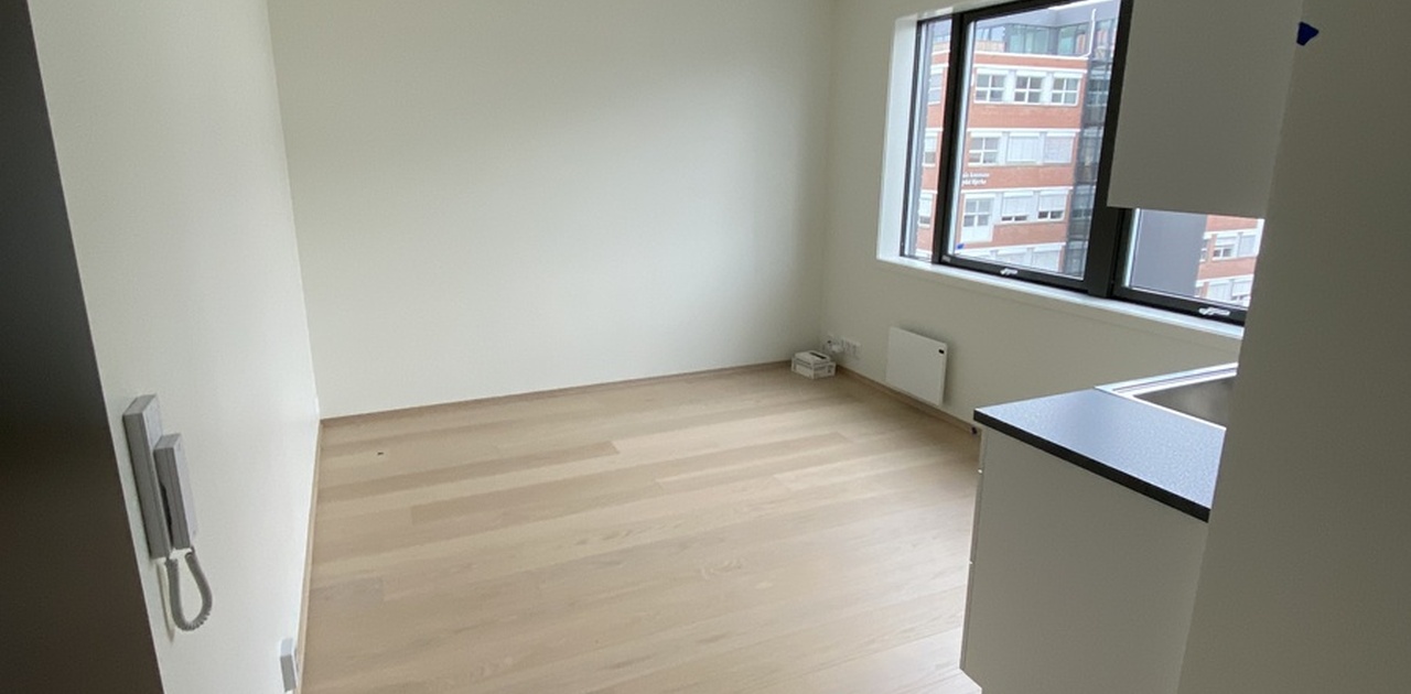 God plass til seng, pult, spiseområde osv