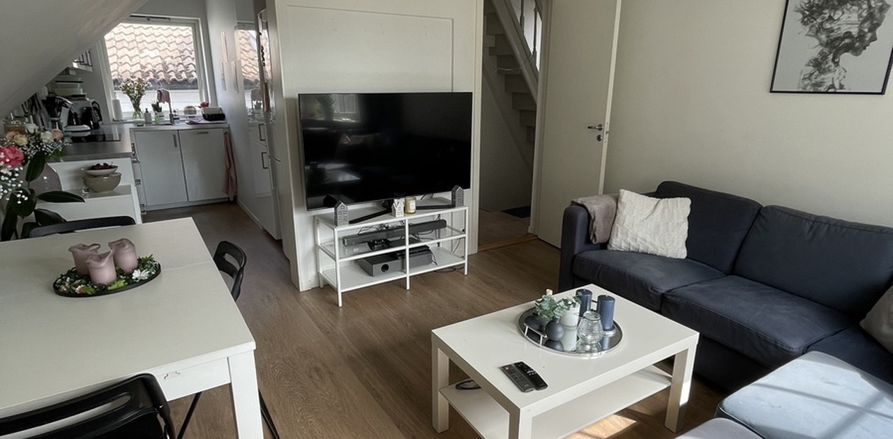 Stue- og kjøkkenløsningen, med dør ut til gangen