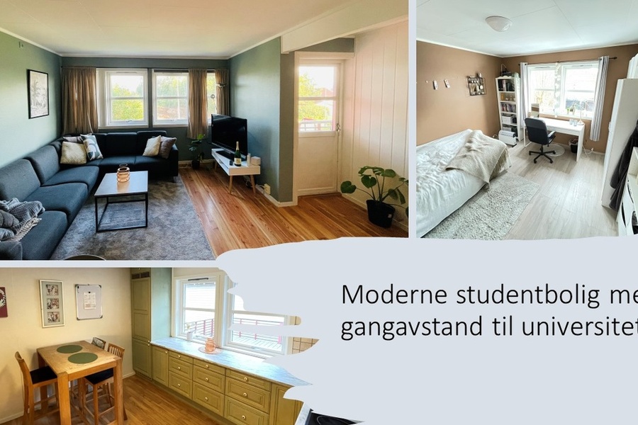 2 rom i bofellesskap