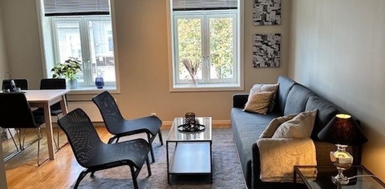 Stue møblert (inkl sovesofa)