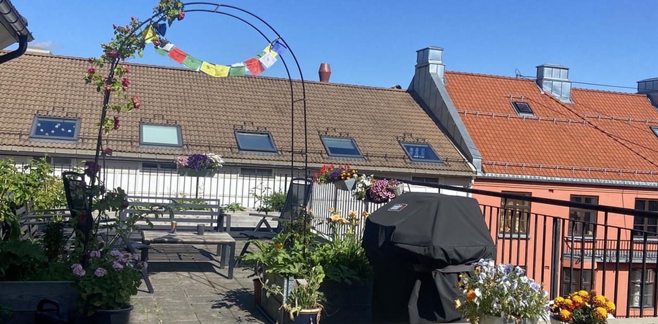 takterrasse til fri benyttelse