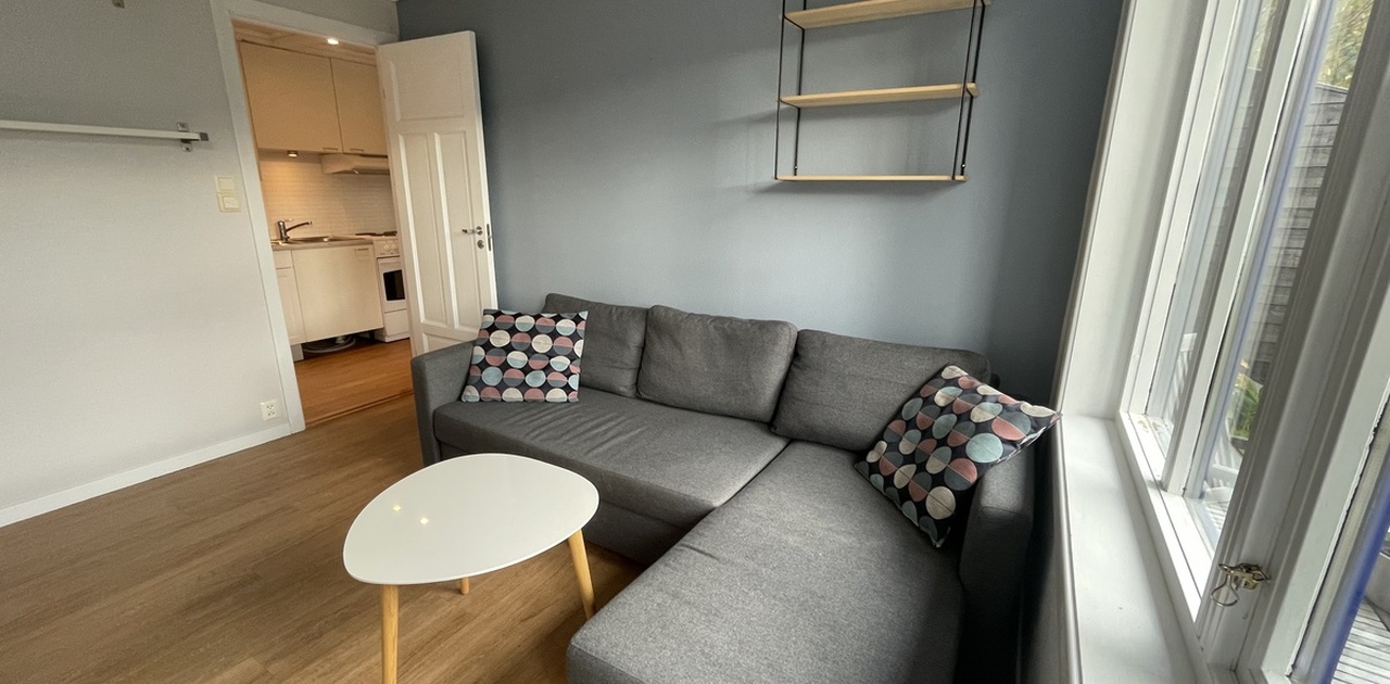 Stove: Sofa som kan gjerast om til dobbel gjesteseng. Oppbevaring til dyner mm.