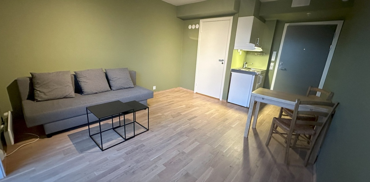 Arealeffektiv hybel med mye lys