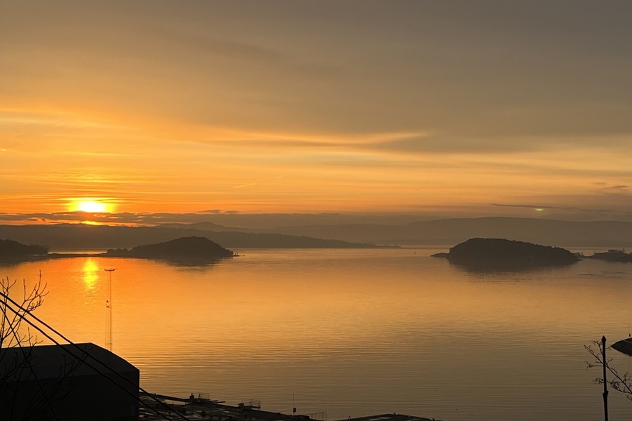 Rom i bofellesskap