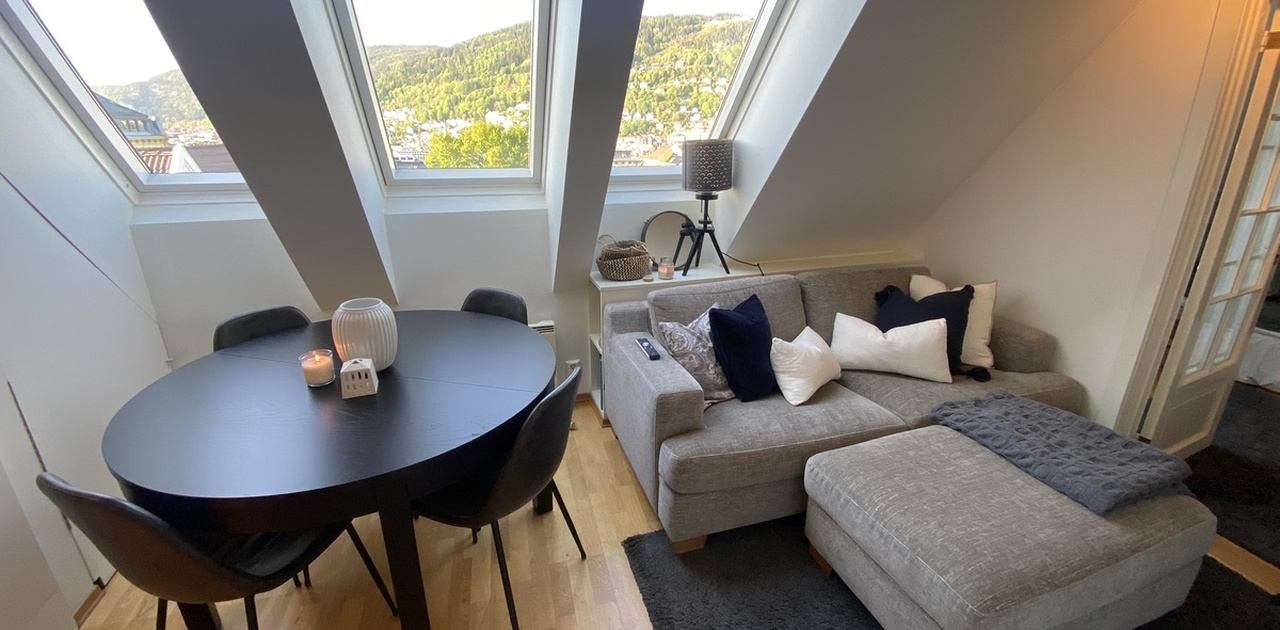 Stue, spiseplass og kjøkken i samme rom.