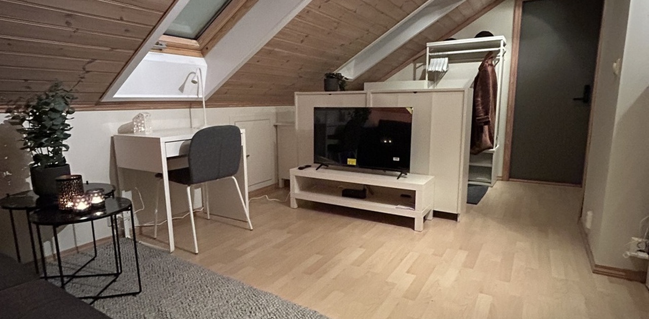 Leiligheten har et koselig oppholdsrom med sofa, tv og arbeidsplass.